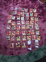 Panini sticker Wm 2026 über 1000 sticker