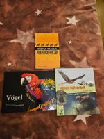 Bücherpaket: Animals