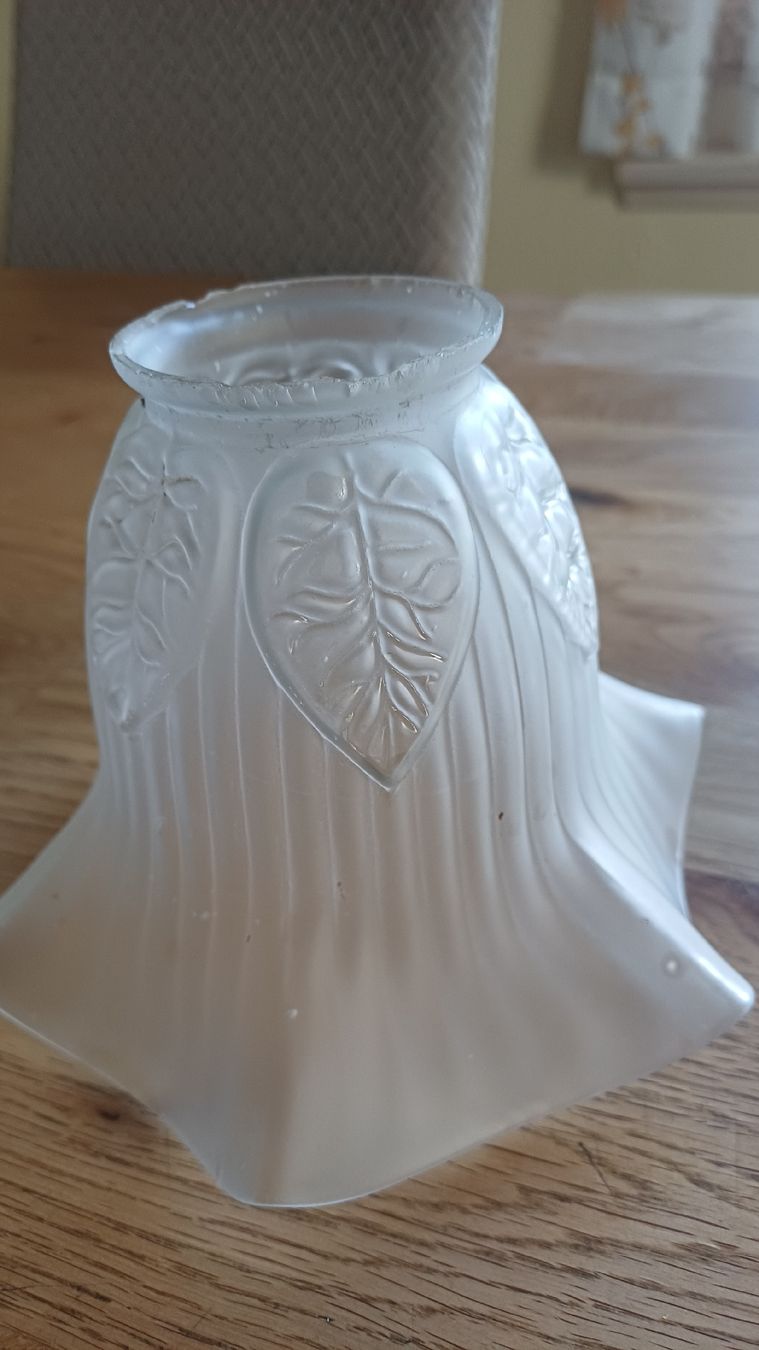 Paralumi: 2 Jugendstil Lampenschirme – Usato da Flawil venduto da Naphtali 1