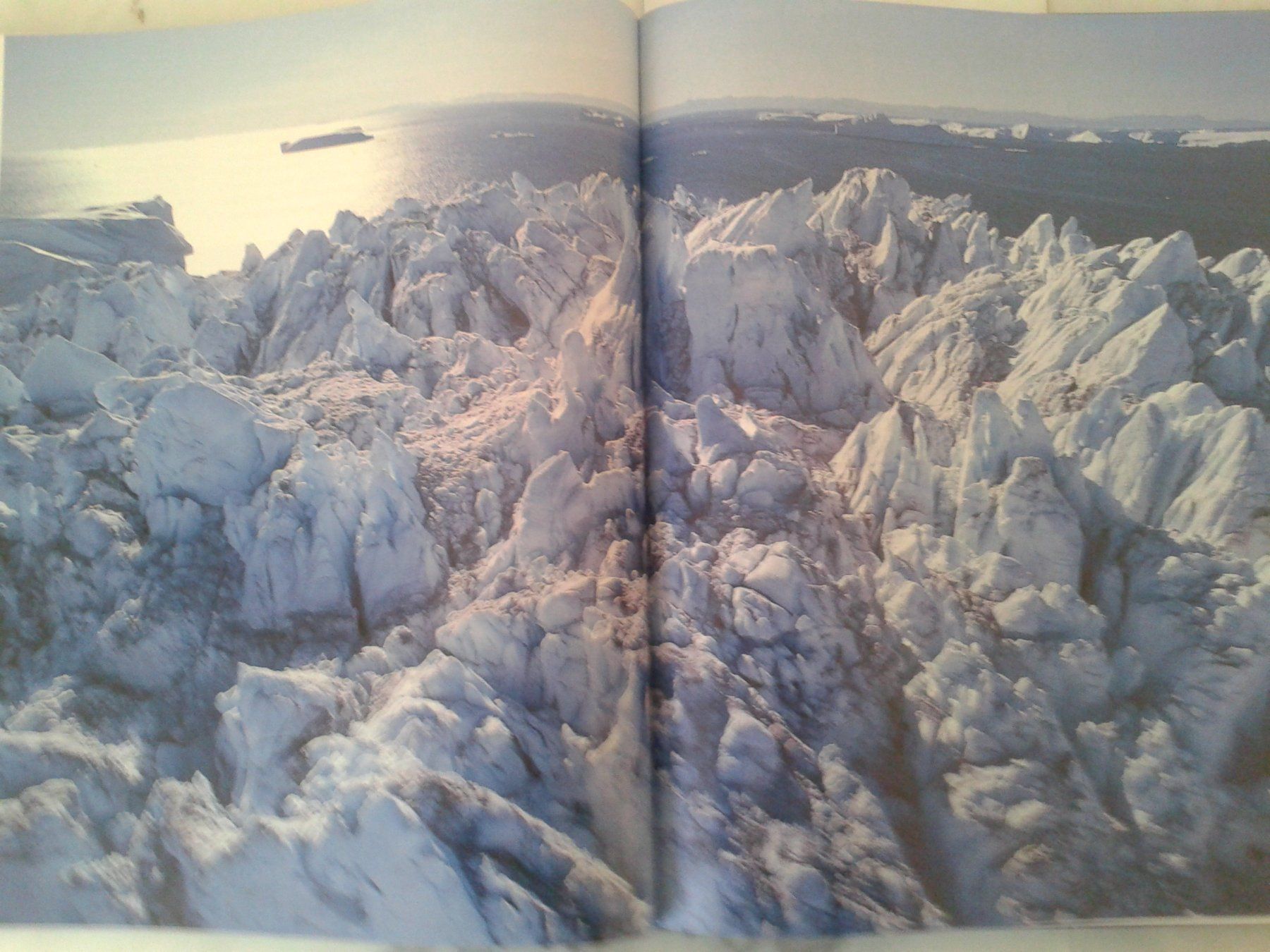 Libri: Bildband Buch ARKTIS – Nuovo (secondo la descrizione) da Camorino venduto da Campellino 4