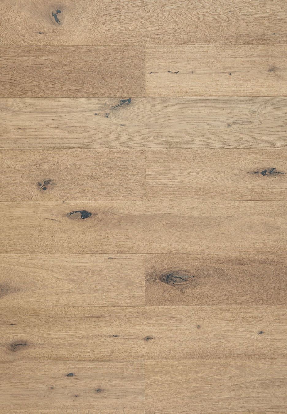 Rivestimenti per pavimenti: Parkett Eiche FLOOR&MORE CLOUD Rohholzoptik – Nuovo e nell'imballaggio originale da Altdorf UR venduto da floorandmore 2
