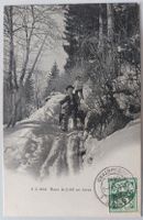 WINTER/HIVER   1904  -   Luge dans  la  forêt