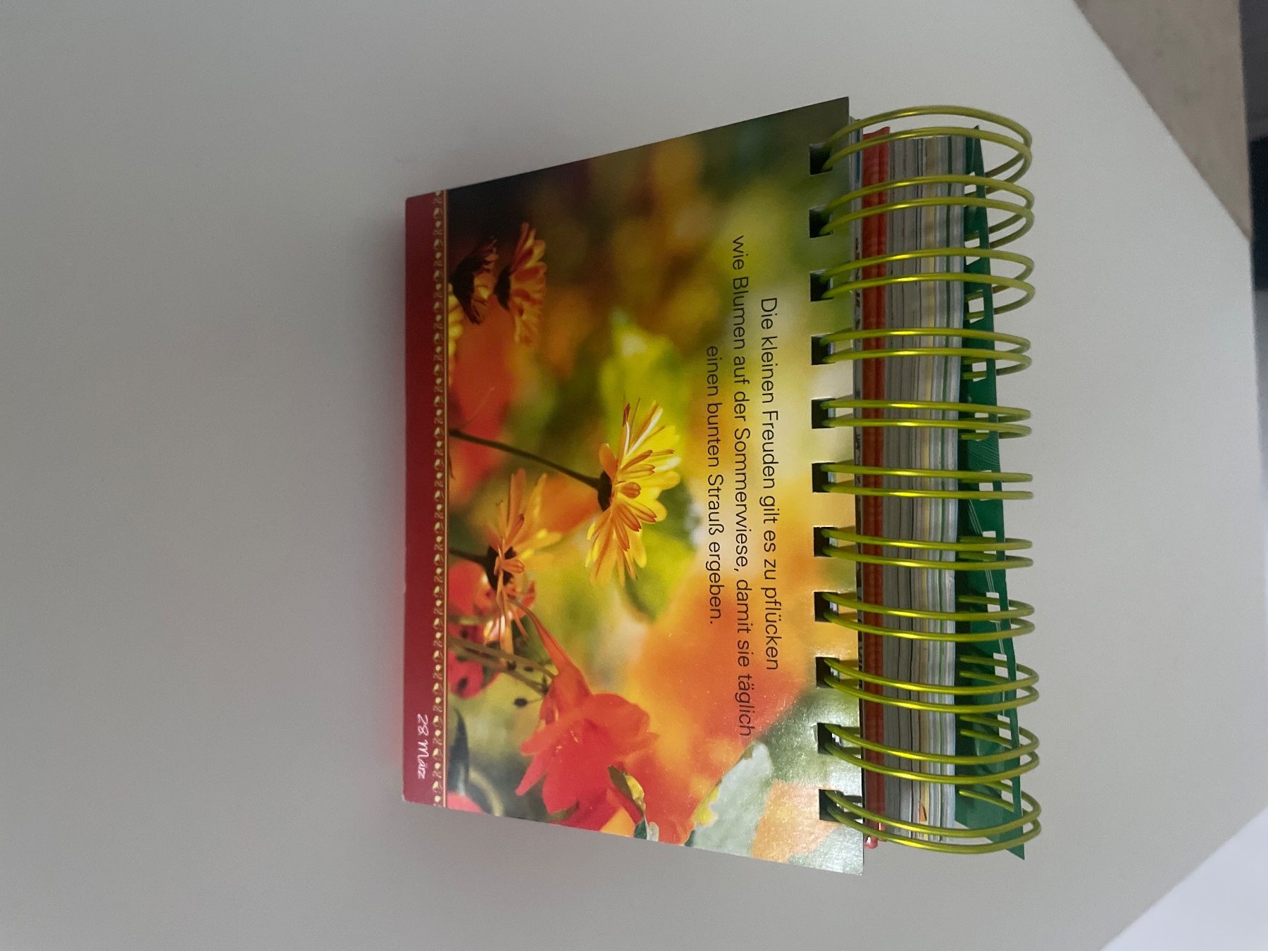 Kalender: Tischkalender - 365 Tage Lebensfreude – Gebraucht aus Schaffhausen von Kolibri023 2