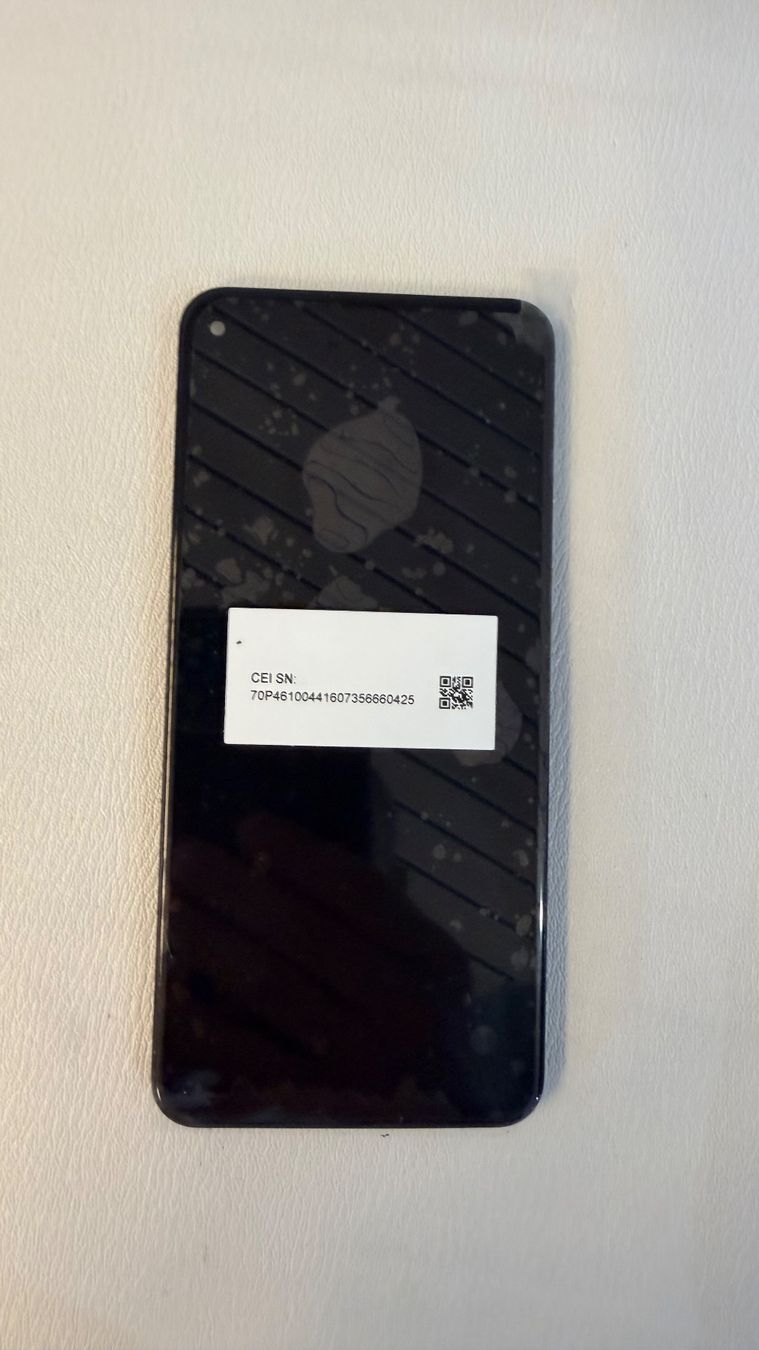 Monitore: Original Google Pixel 5A Display – Neu und originalverpackt aus Birmensdorf ZH von aleforyou1982 1