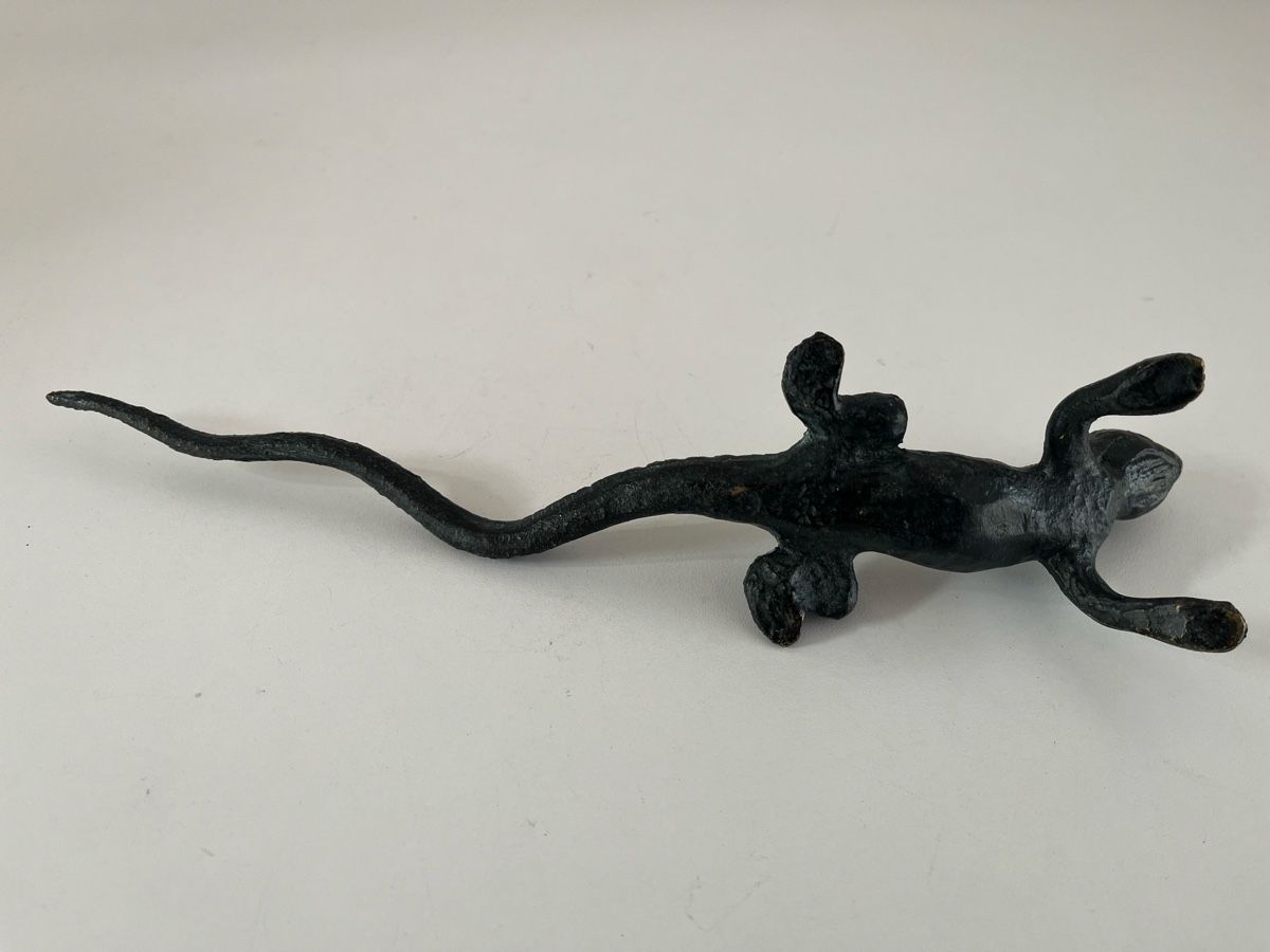 Sculptures & Statues: grosse Eidechse aus Messing oder Bronze – D'occasion à Wetzikon ZH par seli03 8