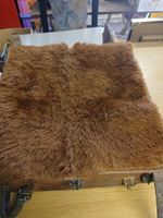 Tonister Tasche