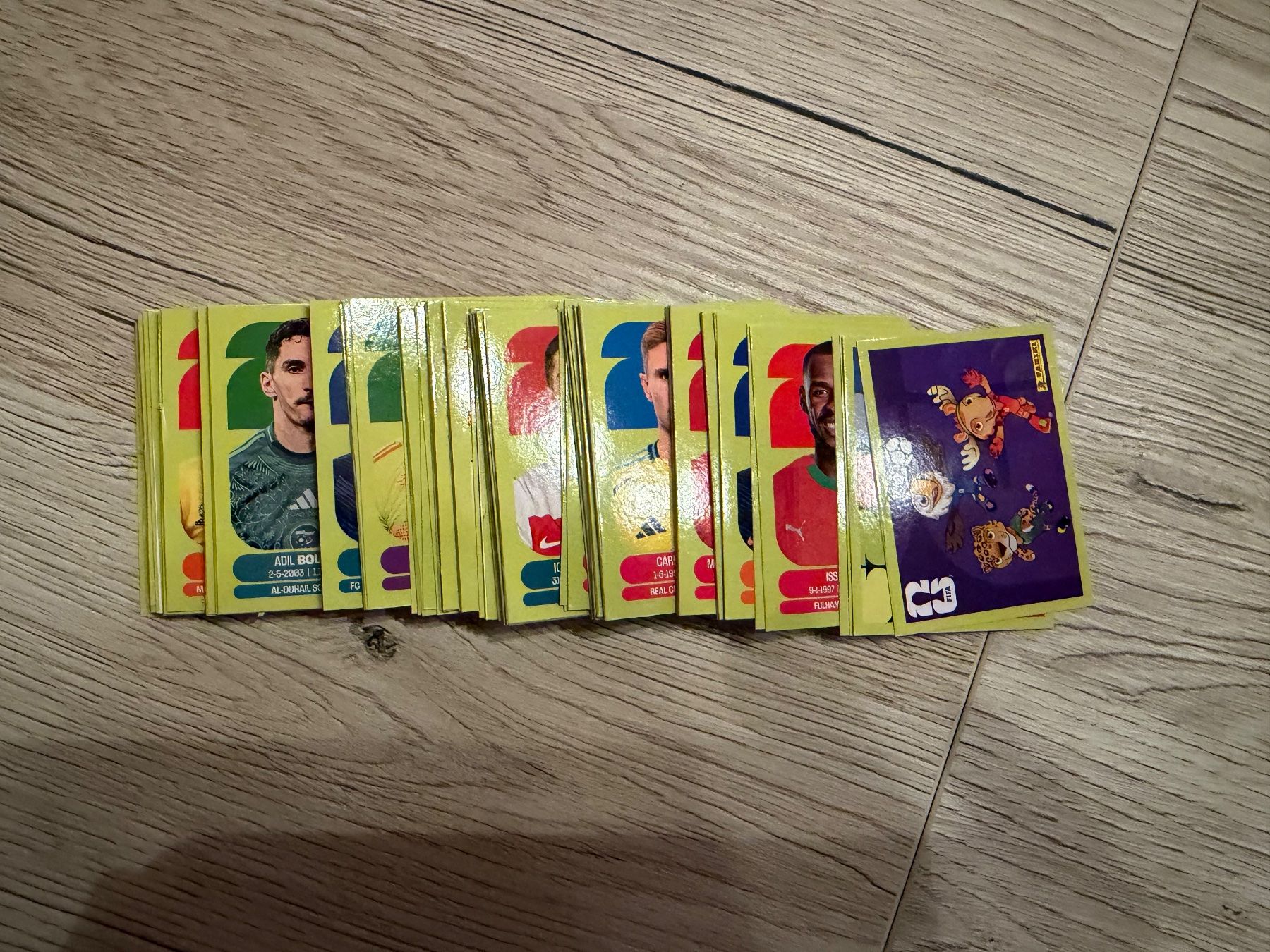 Panini Sammelbilder & Trading cards: 300 Panini, + 119 Panini Update Set, + 86 Codes, + 9 Coca – Neu und originalverpackt aus Marly von may_j75b 4
