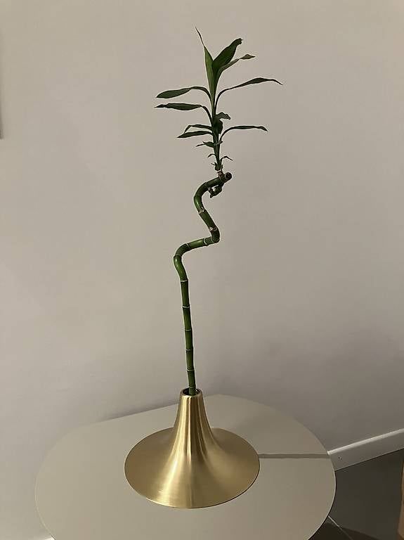Vase & Récipients: Vase Ligne Roset – D'occasion à Genolier par Mamati3
