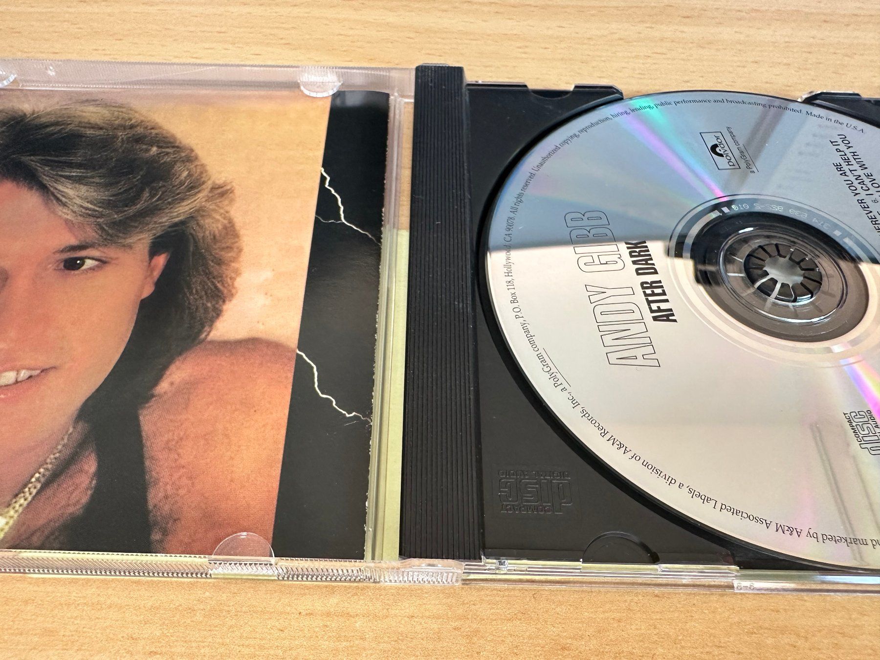 CD: Andy Gibb – After Dark – Usato da Rikon im Tösstal venduto da Alpenmutz 2