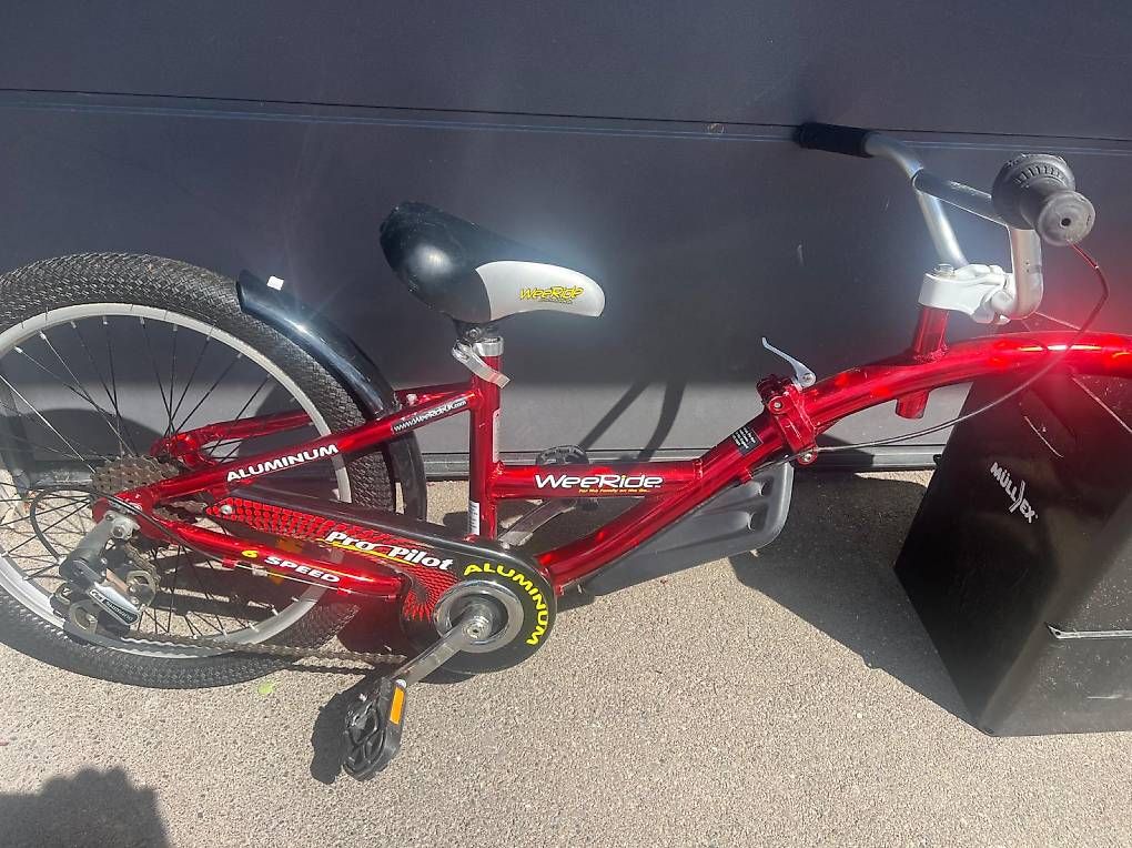 Biciclette: Schattenvelo WEERIDE – Usato da Dornach venduto da samuti