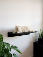 Katzen Wandelement Liege schwarz 2 ST