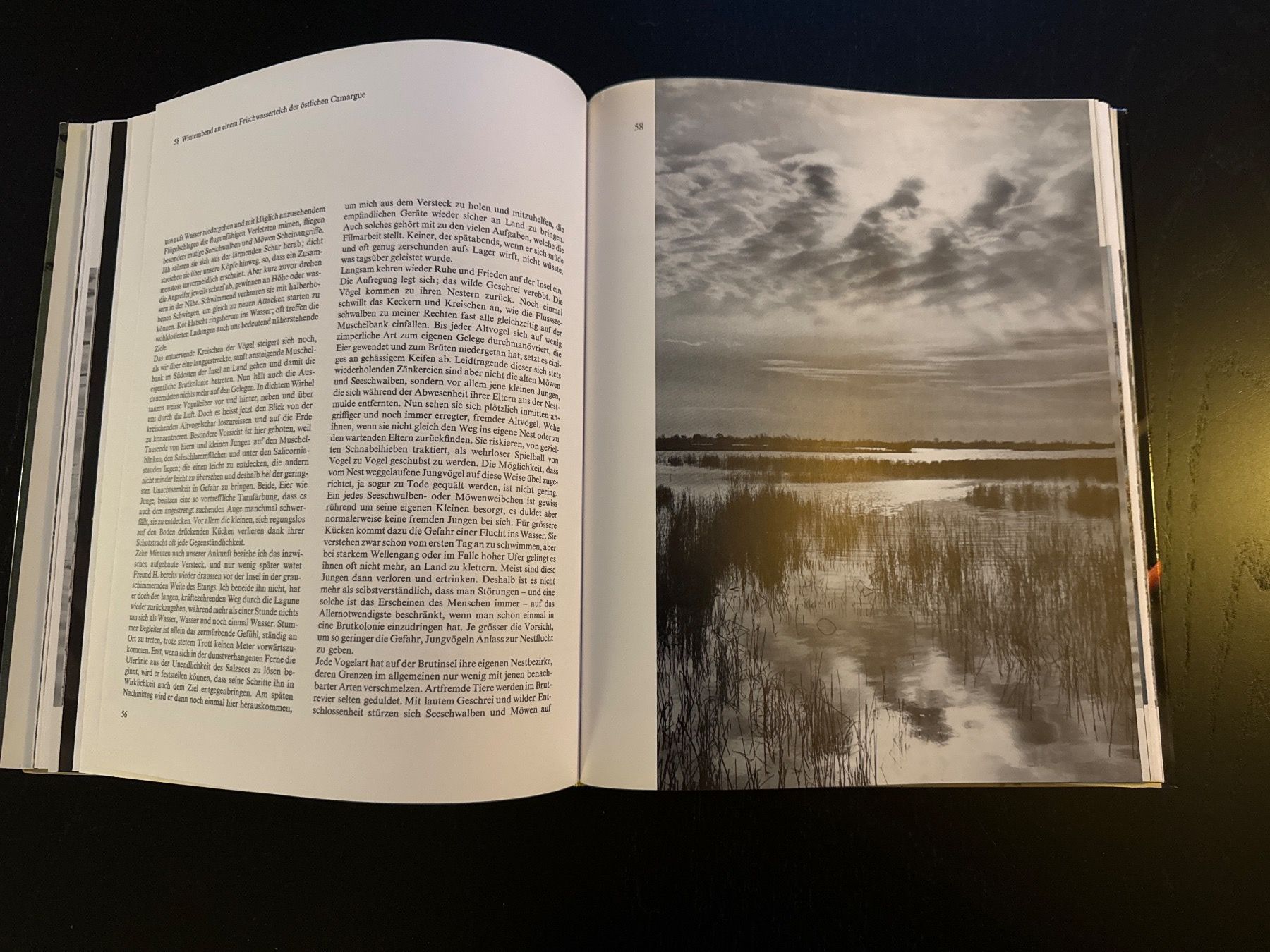 Libri: Camargue – Usato da Erstfeld venduto da Mario_boe0 3