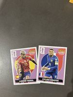 Panini Extra Stickers doppelt Lila