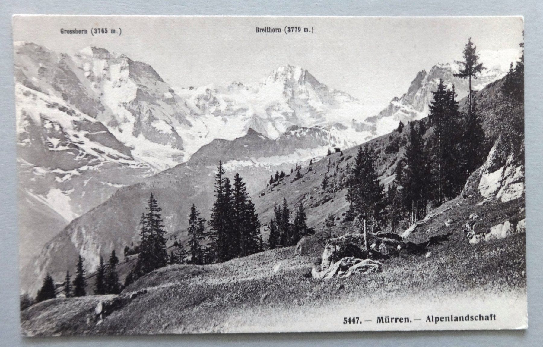 Cartoline postali: Mürren - Alpenlandschaft – Usato da Fétigny venduto da Billy2miny