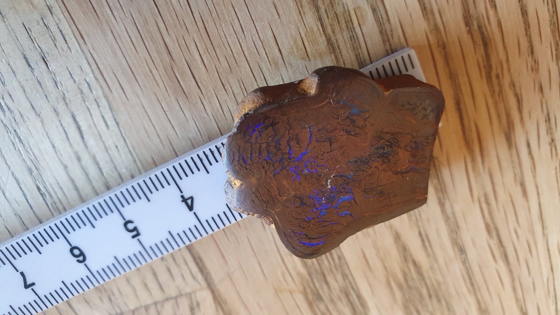 Fossili: Boulder Opal – Usato da Flawil venduto da Pinkmalibu 1