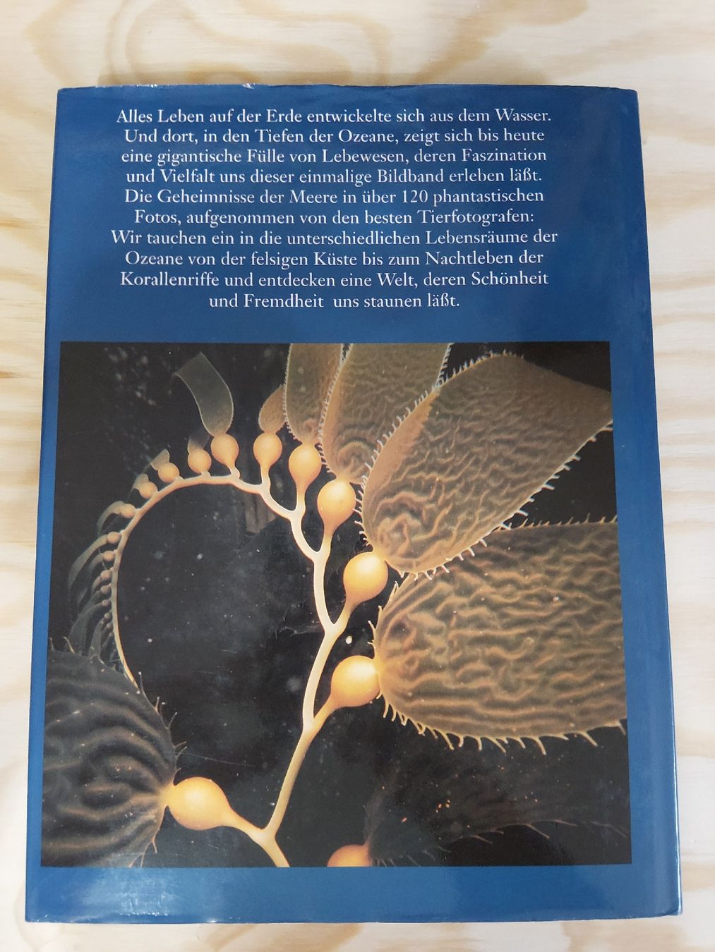 Libri: Lebensraum Ozean – Usato da Grolley venduto da Montana78 2