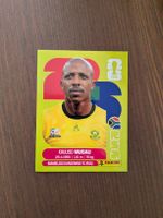 Panini Bild RSA 9