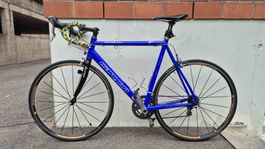 Canyon Roadlite AL Rennrad mit Ultegra Vollausstattung
