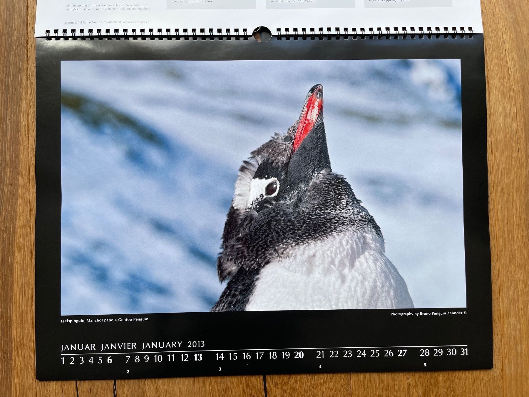 Kalender: Pinguin-Kalender (Bruno Zehnder) – Neu und originalverpackt aus Volketswil von doughboy 4