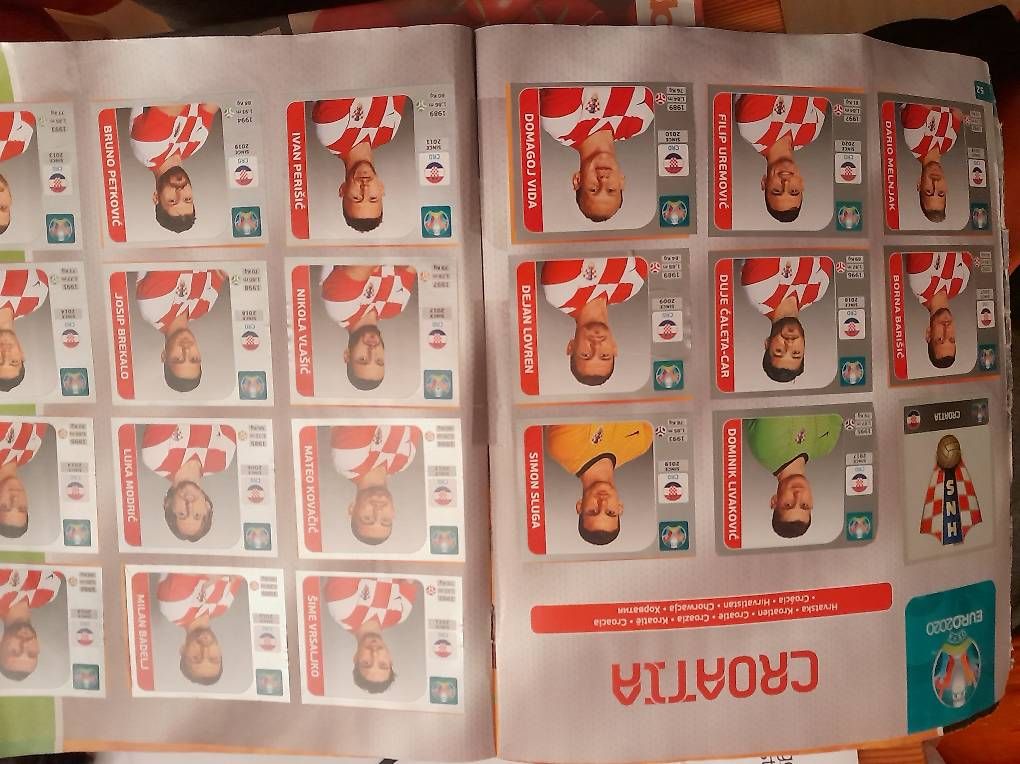 Carte collezionabili: Panini 2020 – Usato da Bern venduto da tho_yg5k