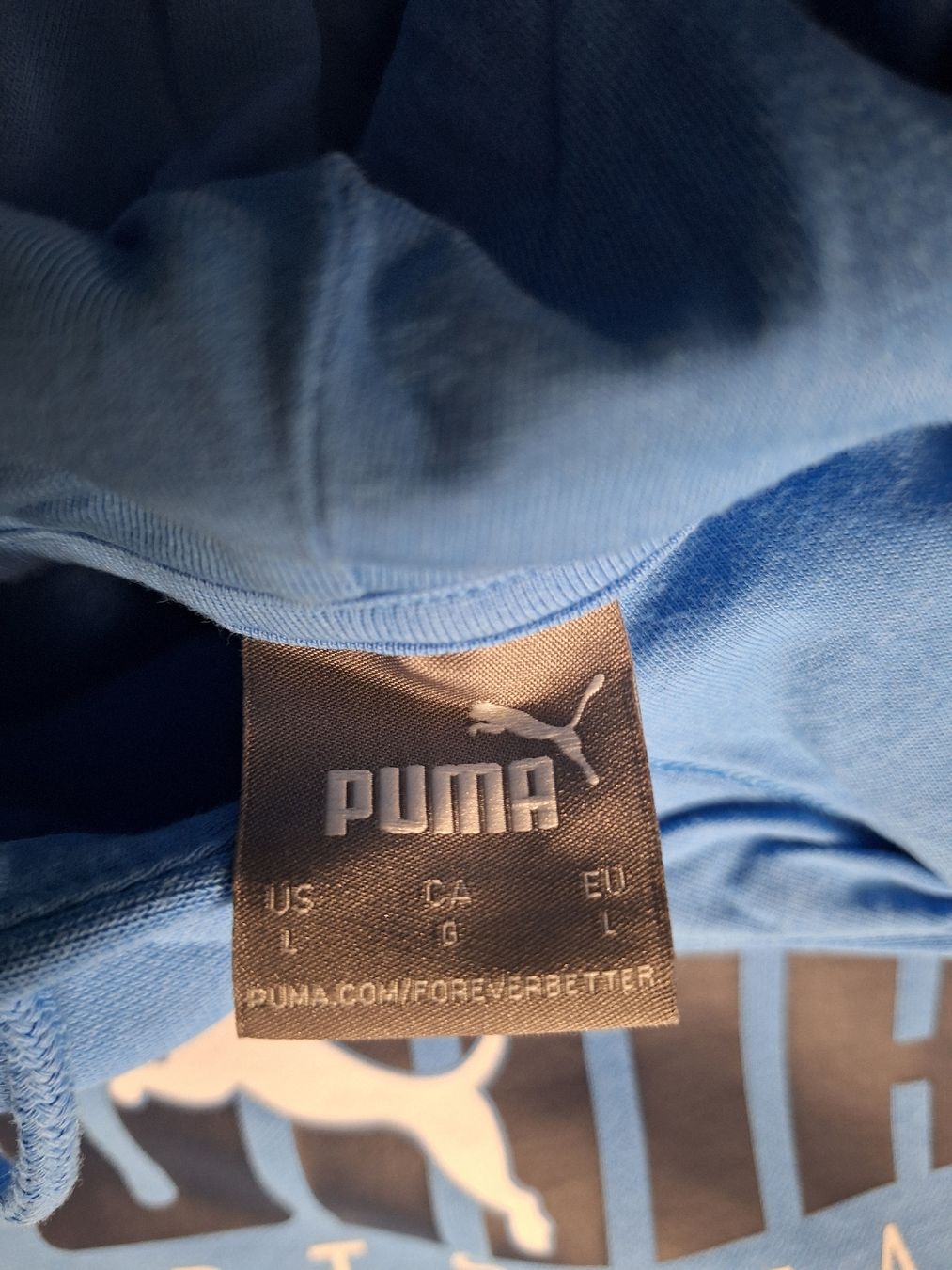 Puma Maglioni & Felpe: Puma Hoodie, Grösse L – Nuovo (secondo la descrizione) da Niederglatt ZH venduto da Bobsli 2