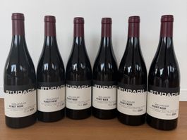 Studach, Pinot Noir 2024 - 1 Flasche