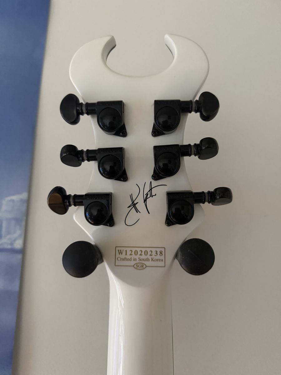 Schecter Musikinstrumente: Guitare Schecter syn custom – Gebraucht aus Sion von axe_hzg8 2