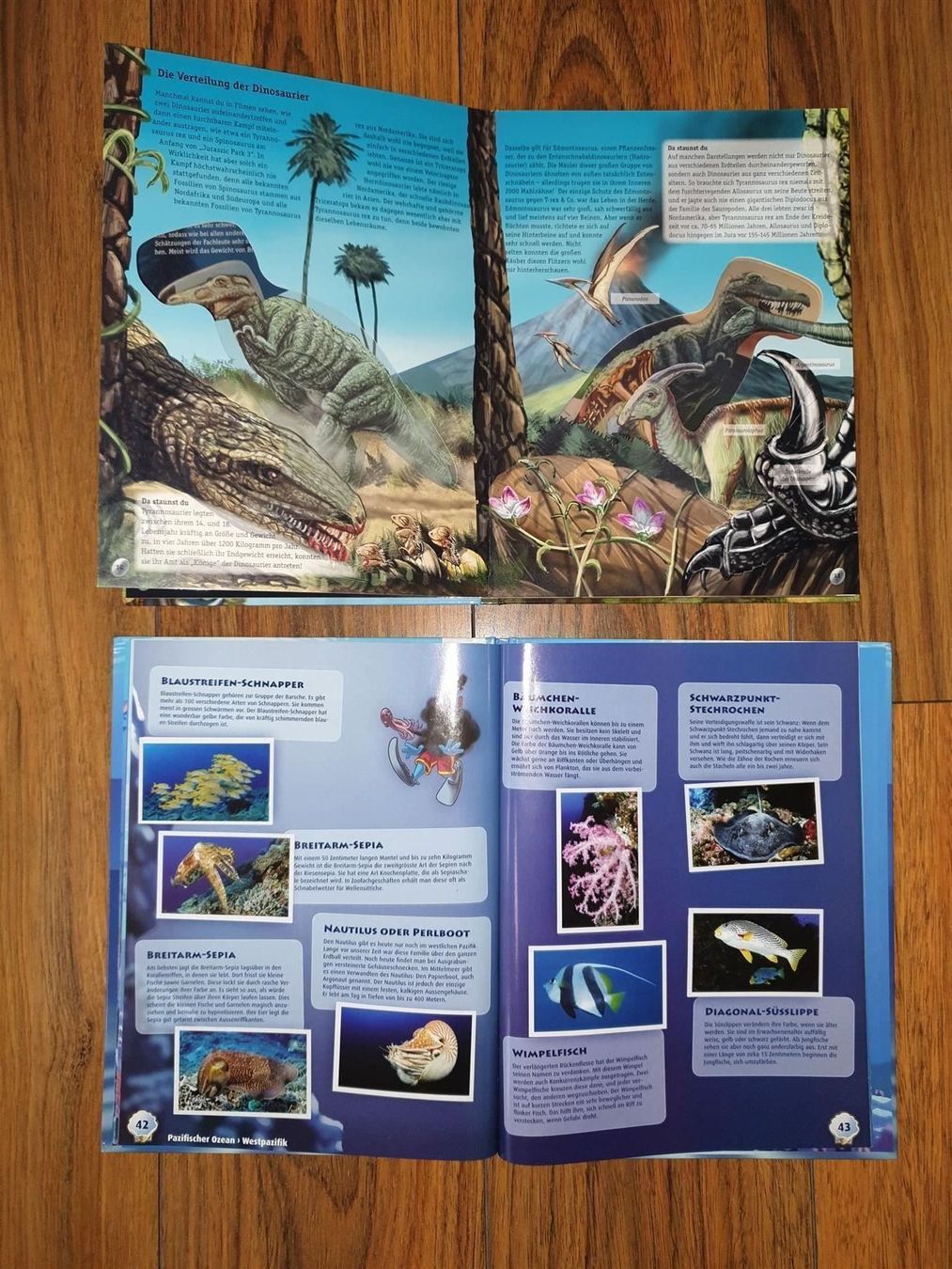 Libri: Die Dinosaurier - Wissen m. Durchblick – Usato da Buchrain venduto da regenblume3 1