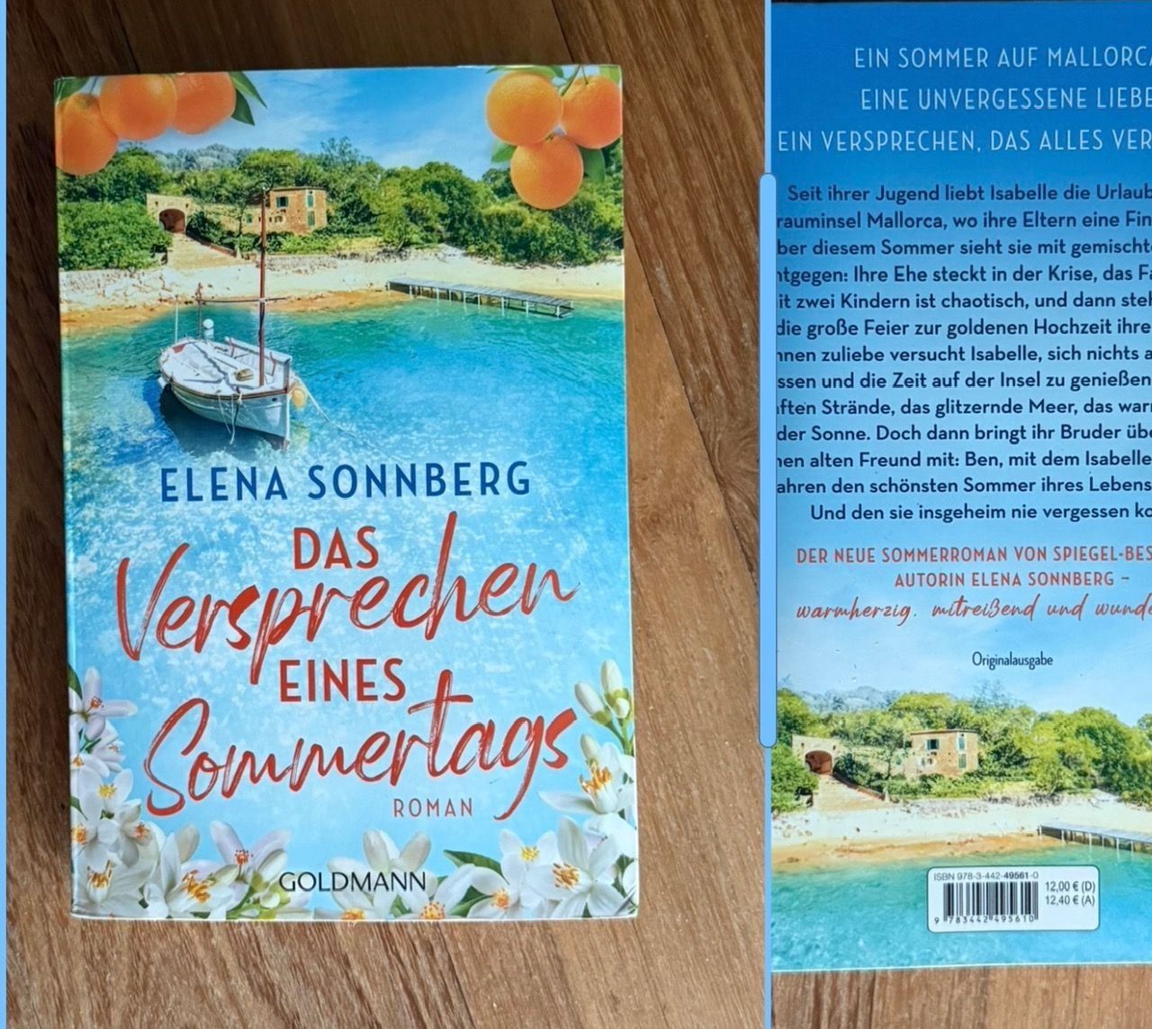 Libri: Das Versprechen eines Sommertags (Roman)Elena Sonnberg – Nuovo (secondo la descrizione) da Horw venduto da Muger3