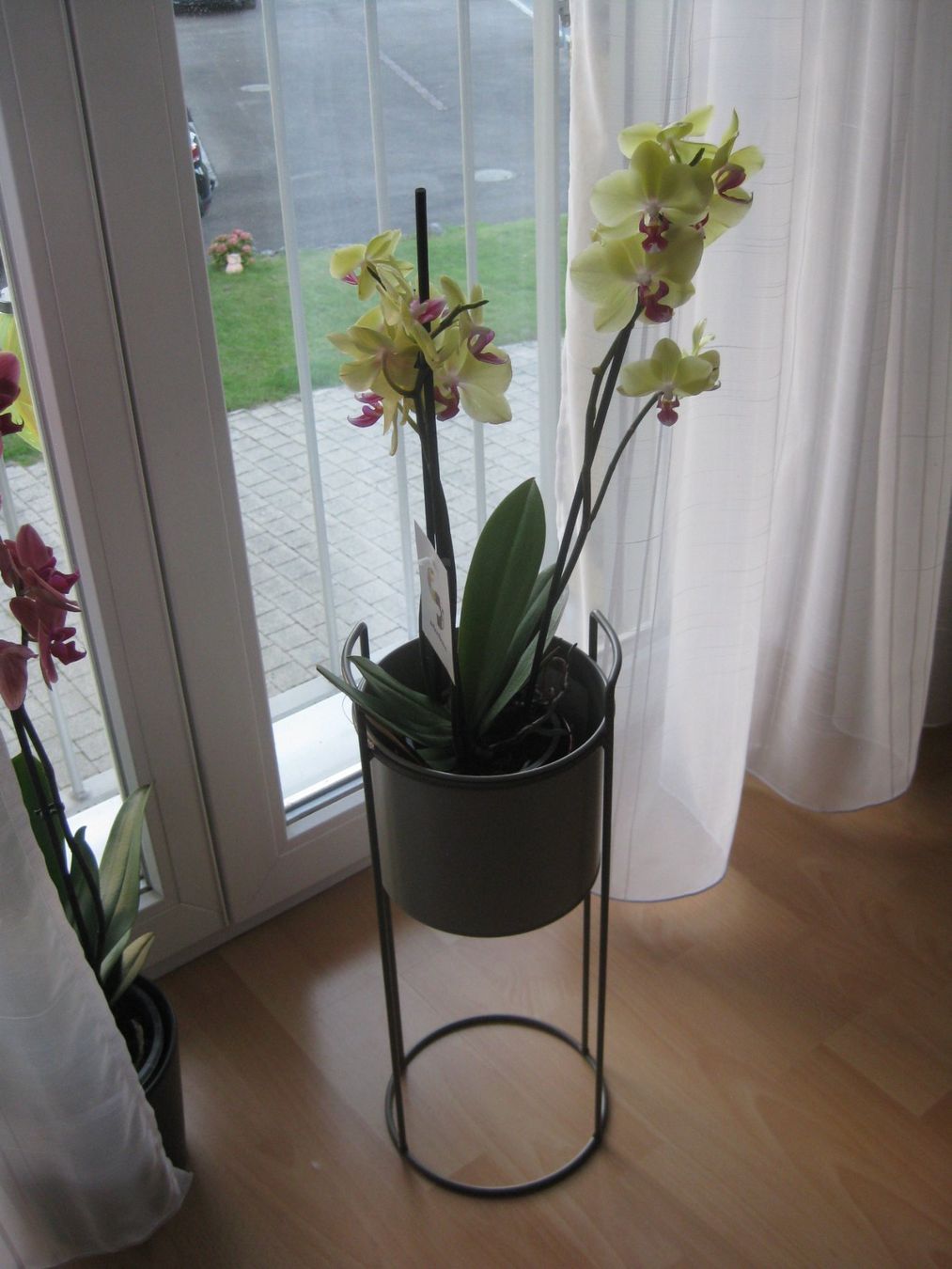 Sonstiges für Haushalt & Wohnen: Schöner Metall Blumenständer – Neu (gemäss Beschreibung) aus Romanshorn von Wazoohandlung 3