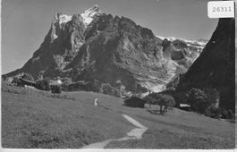 Bei Grindelwald mit Wetterhorn