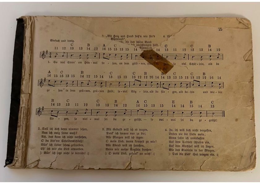 Strumenti musicali: Zither – Usato da Basel venduto da karpfen17 6