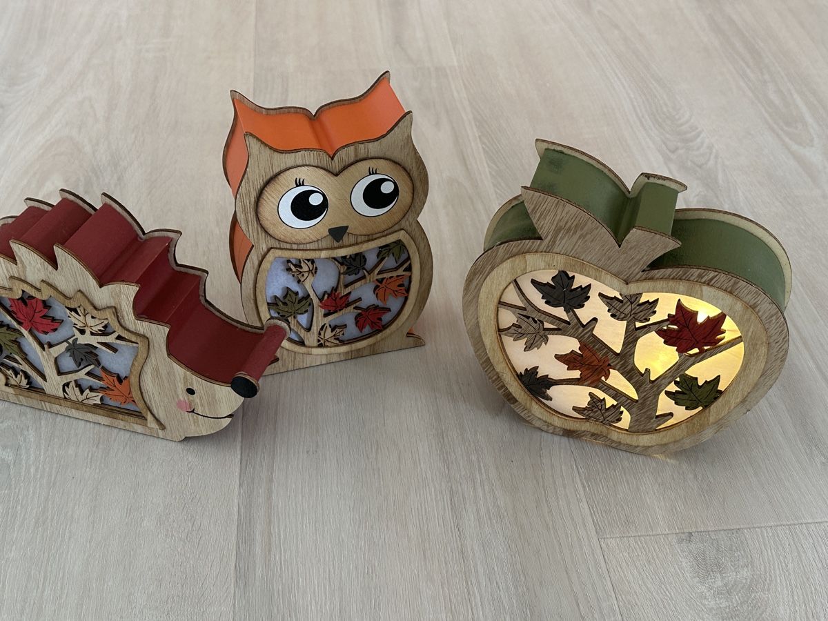 Tutte le decorazioni: Deko mit Beleuchtung und Timer – Usato da Kirchlindach venduto da Ibag70