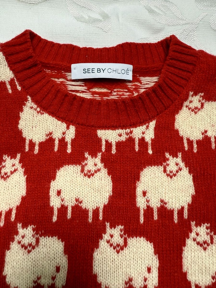 Chloé Pullover & Sweatshirts: See by Chloe pullover S – Gebraucht aus Barna von orbuyorcry 4