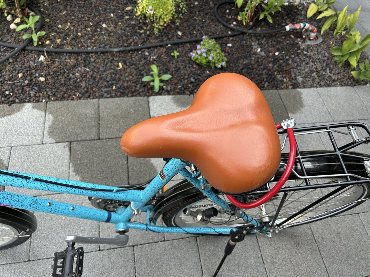 Biciclette: Damen Velo/Grosse Kinder – Usato da Birmenstorf AG venduto da Reninata 5