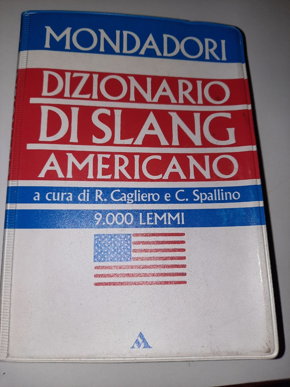 Libri: dizionario di SLANG AMERICANO – Usato da Biasca venduto da Old_6blh