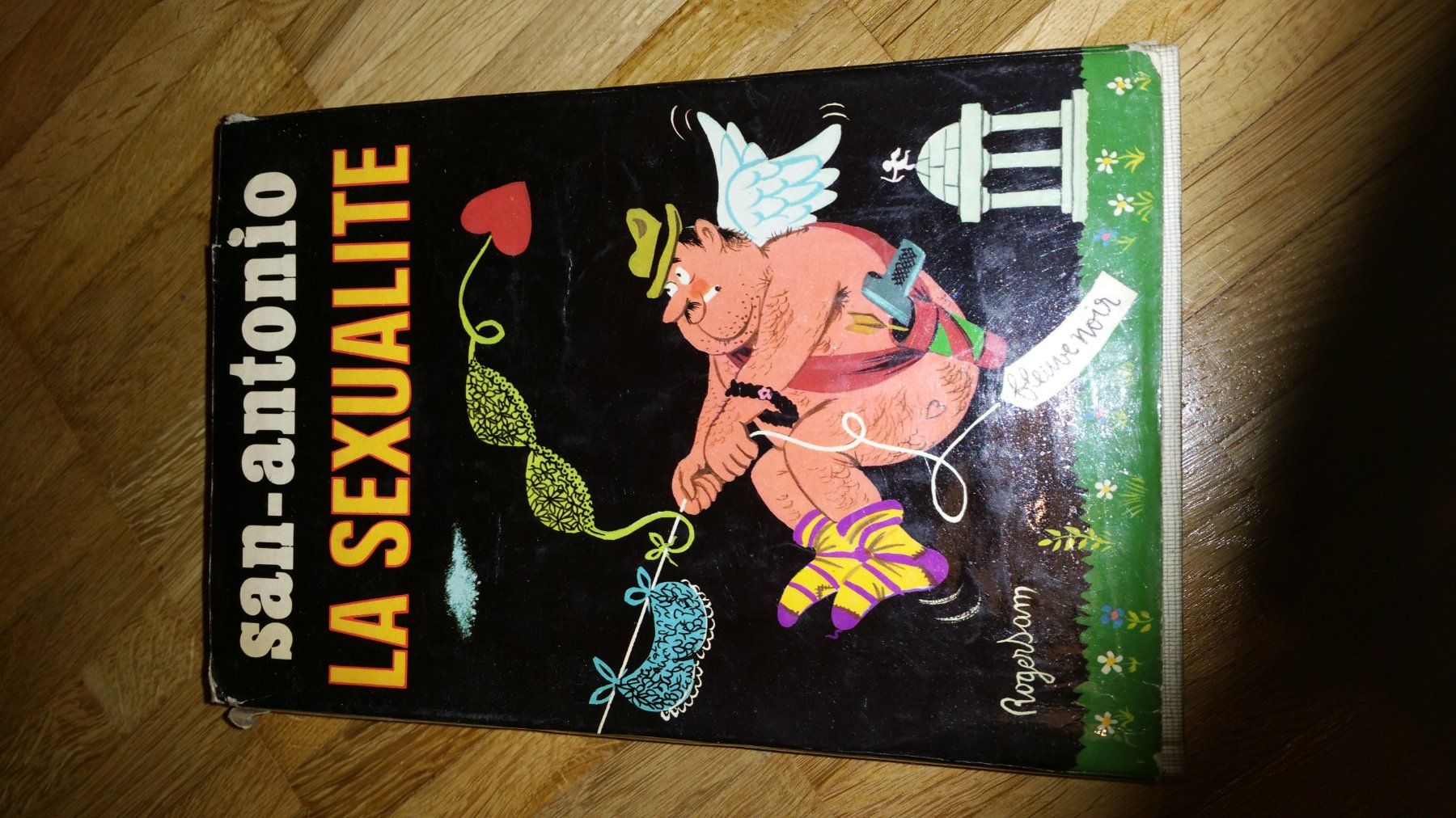 Livres: La sexualité de San-Antonio – D'occasion à Meyrin par lay_6z6q