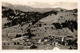 Lenk i.S.