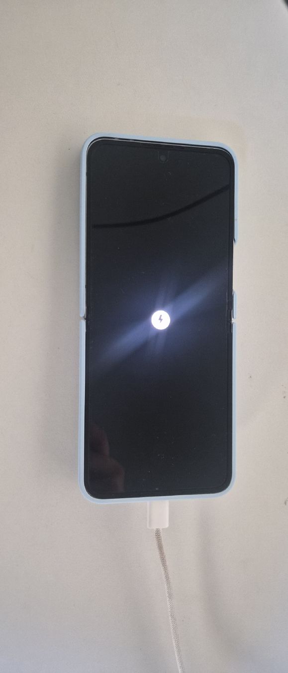 Samsung Telefoni cellulari / Smartphones: Z Flip 6  – Usato da Worblaufen venduto da jan_7szj 1