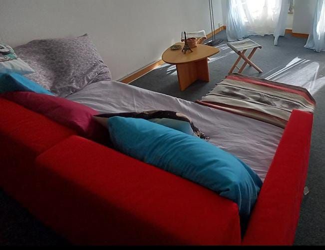 Divani: Red sofa / Sofa bed in good condition – Usato da Bern venduto da car_jpm8 1