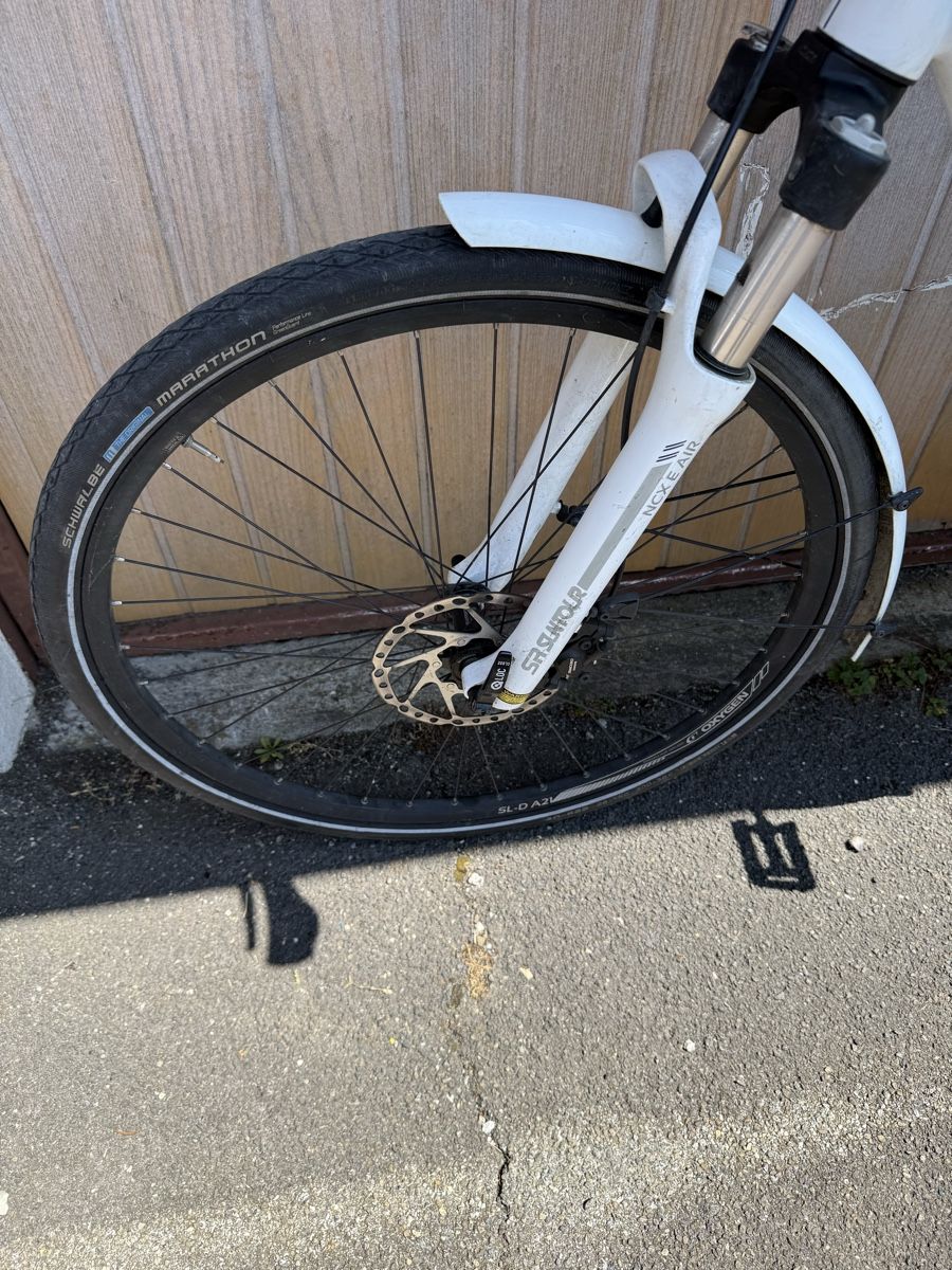 Stevens Biciclette: Stevens E-Triton E-Bike – Usato da Oberentfelden venduto da lam_vj88 3
