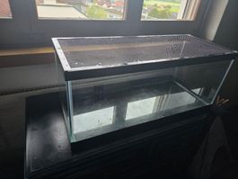 Gut gebrauchtes Terrarium (Undicht, deswegen NUR Terrarium)