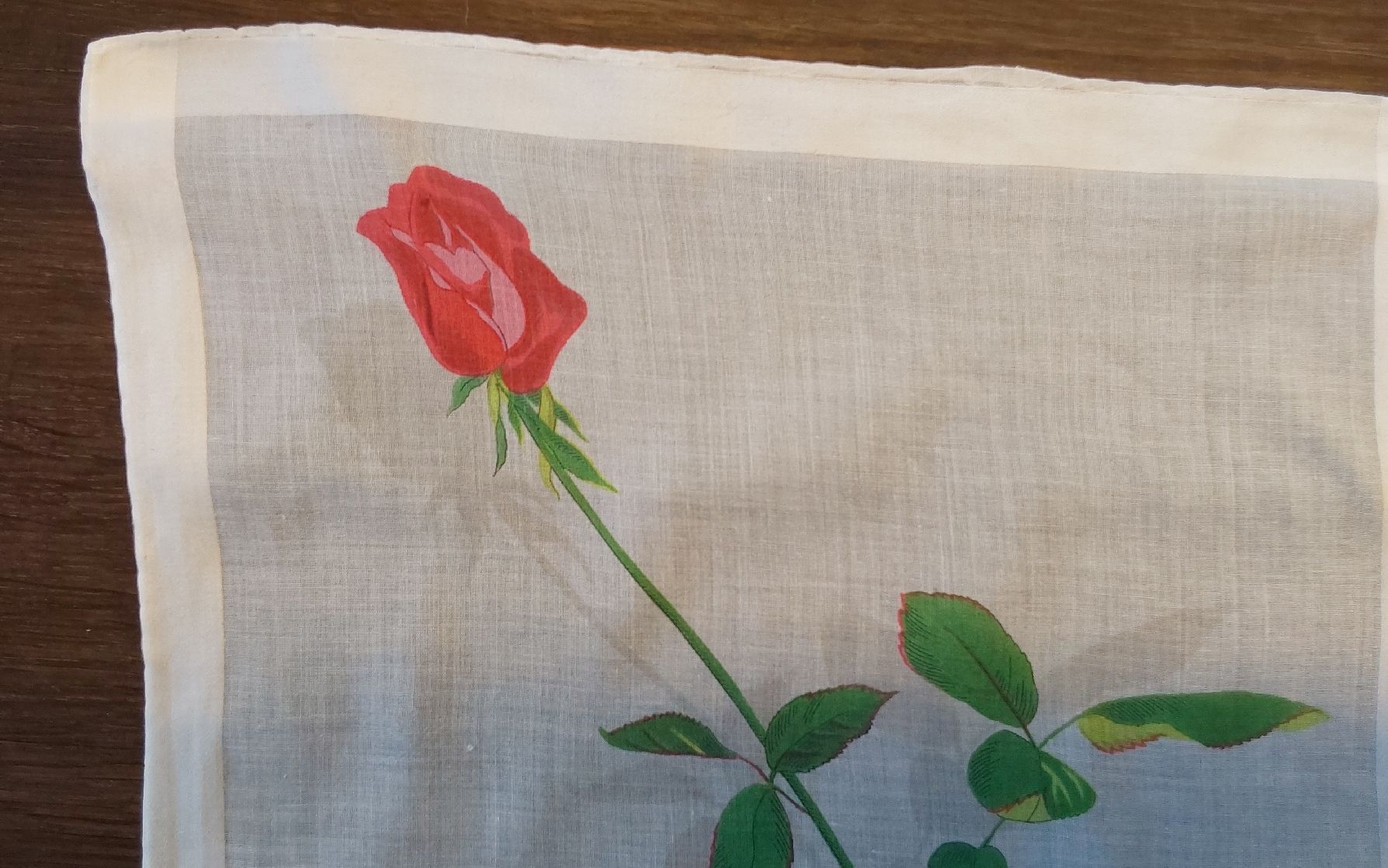 Altro in  Abbigliamento & Accessori: Taschentuch Motiv Rose – Usato da Köniz venduto da scopello12 1
