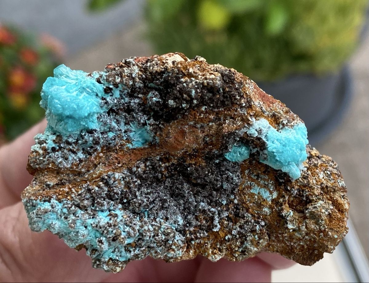 Mineralien & Heilsteine: Super Aurichalicit Mapimi Mexico  – Gebraucht aus Selzach von 321compac 5