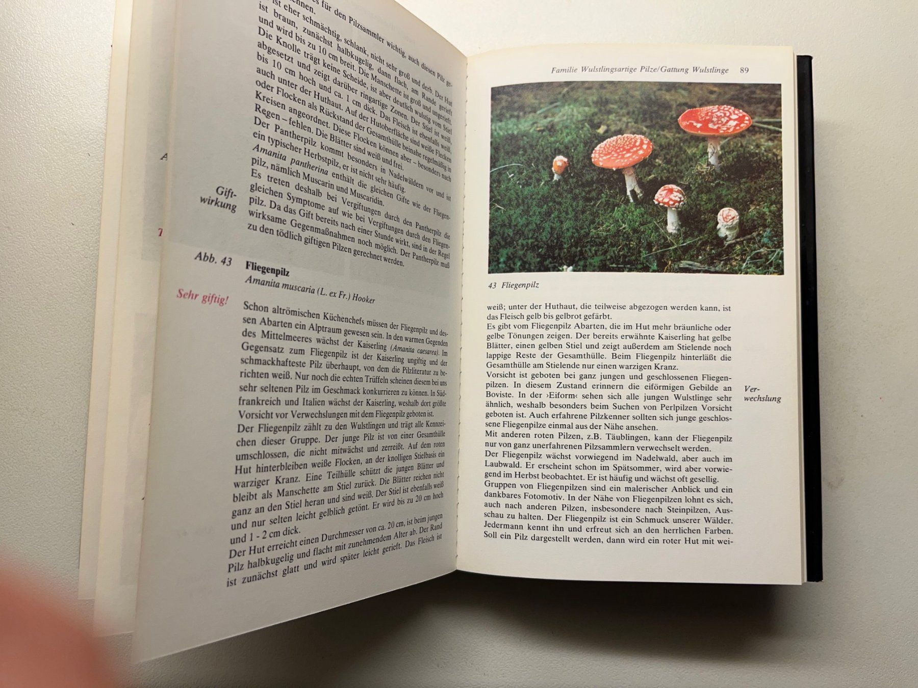Libri: Gerhard Thamerus Keysers Pilzberater – Usato da Laufen venduto da Nuria44 6