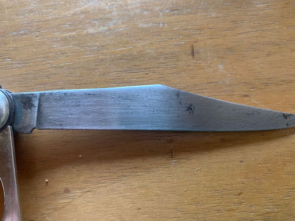 Posate: FishKnife, Fischmesser mit Perlmutt, 2 Klingen – Usato da Dussnang venduto da pml253 4