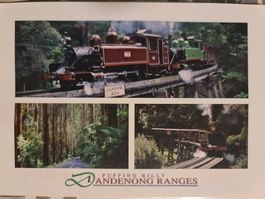 Australien Postkarte Puffing Billy Eisenbahn Dampflok