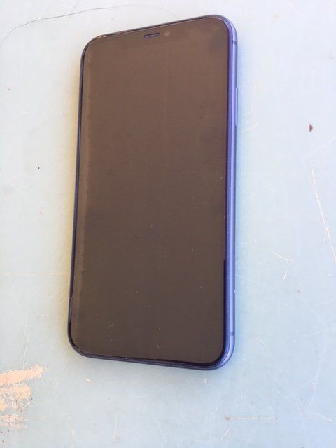 Apple Telefoni cellulari / Smartphones: iphone 11, 64 GB, makellos – Usato da Tennwil venduto da Woodbird0 1