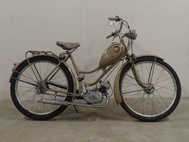 Panther Bobby 1954