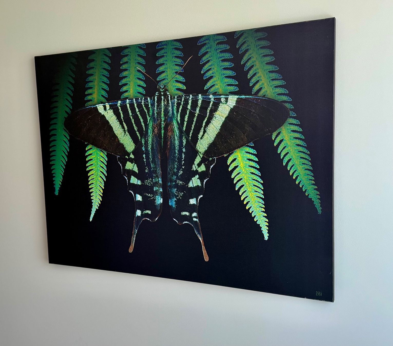 Foto & Immagini: Leinwandbild 100x75, Urania leilus – Usato da Ermatingen venduto da Atropos57 2